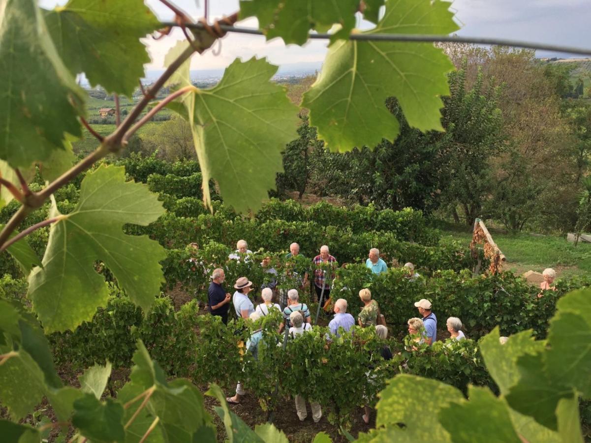 Merumalia Wine Resort Frascati Zewnętrze zdjęcie
