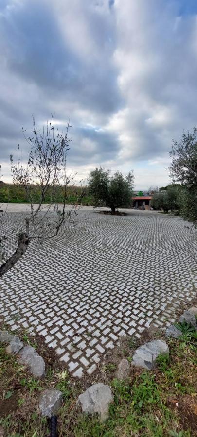 Merumalia Wine Resort Frascati Zewnętrze zdjęcie