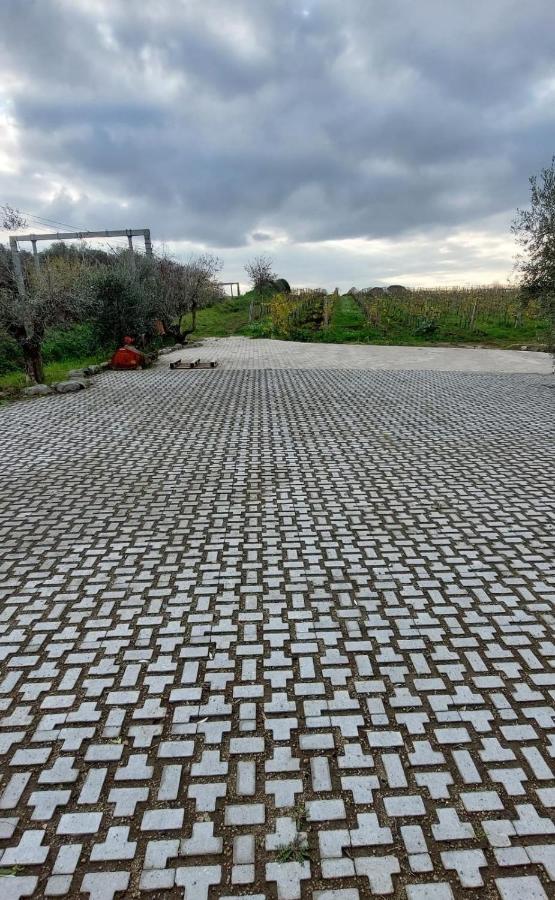 Merumalia Wine Resort Frascati Zewnętrze zdjęcie