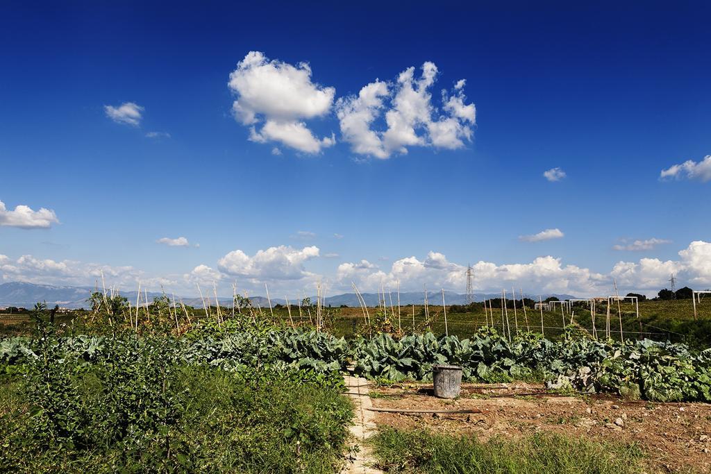 Merumalia Wine Resort Frascati Zewnętrze zdjęcie