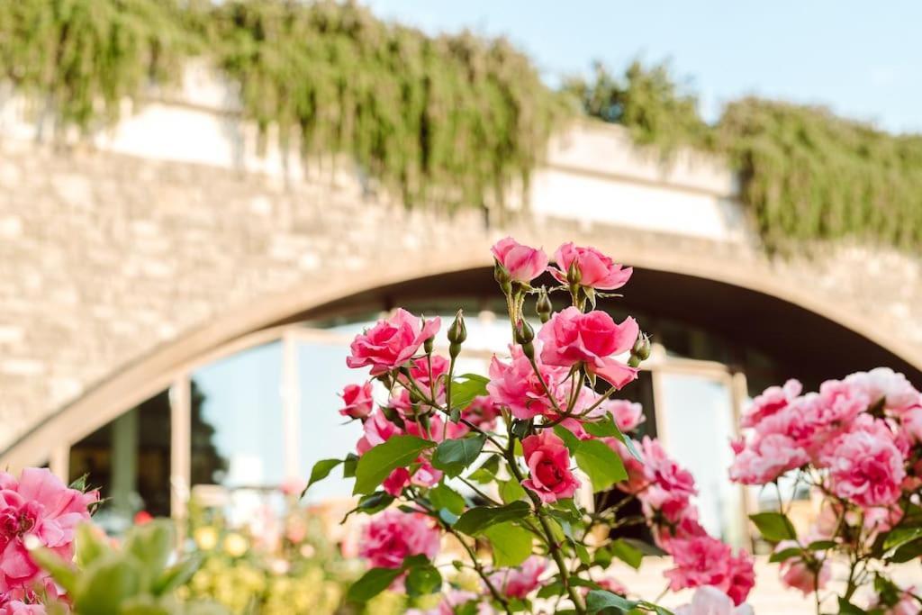 Merumalia Wine Resort Frascati Zewnętrze zdjęcie