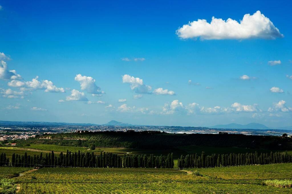 Merumalia Wine Resort Frascati Zewnętrze zdjęcie