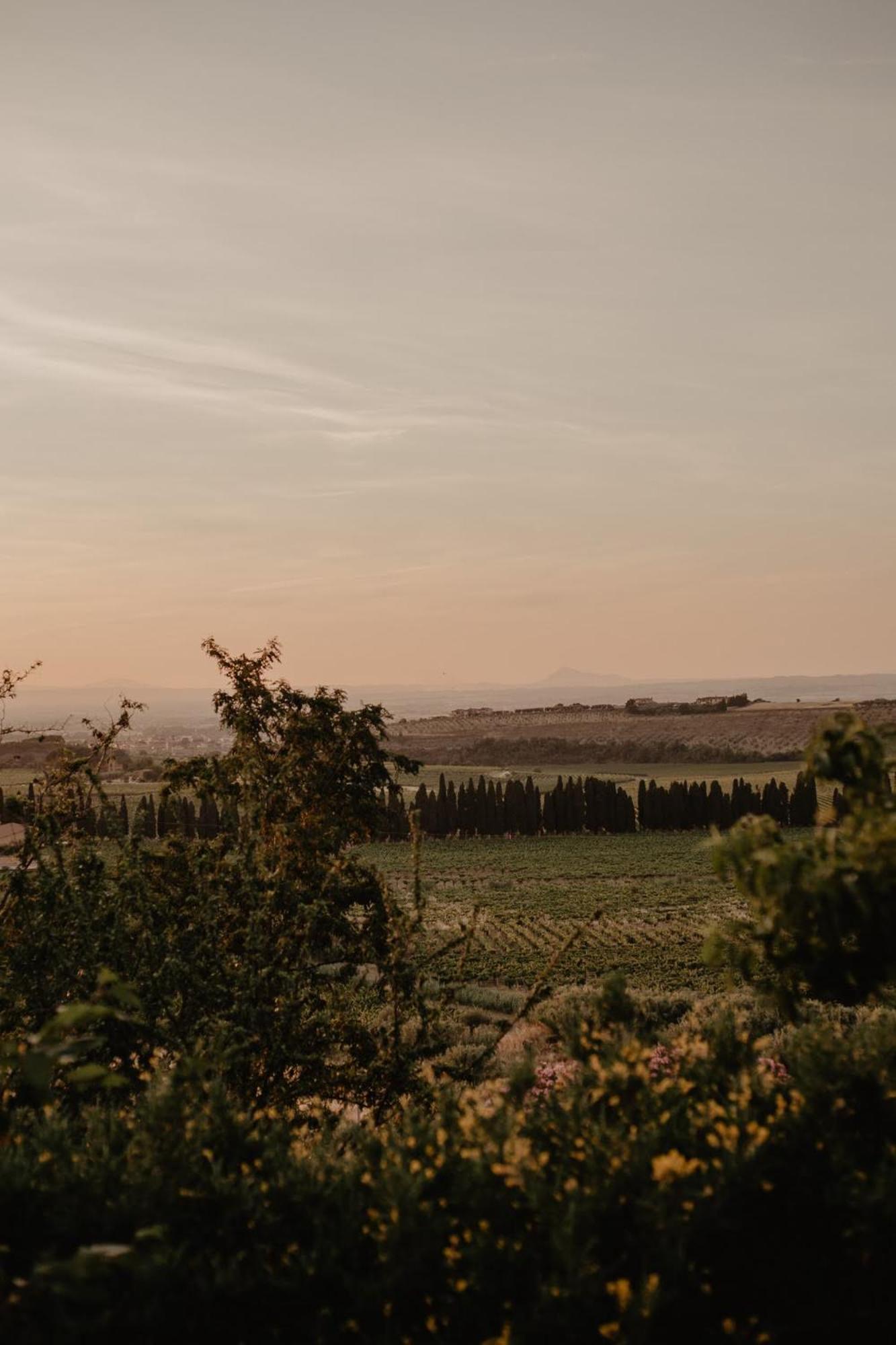 Merumalia Wine Resort Frascati Zewnętrze zdjęcie