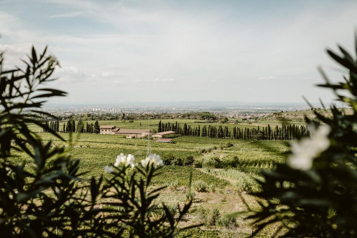 Merumalia Wine Resort Frascati Zewnętrze zdjęcie