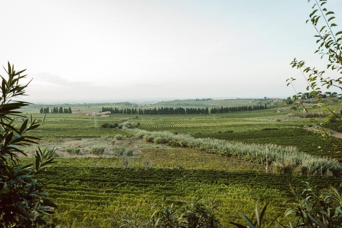 Merumalia Wine Resort Frascati Zewnętrze zdjęcie