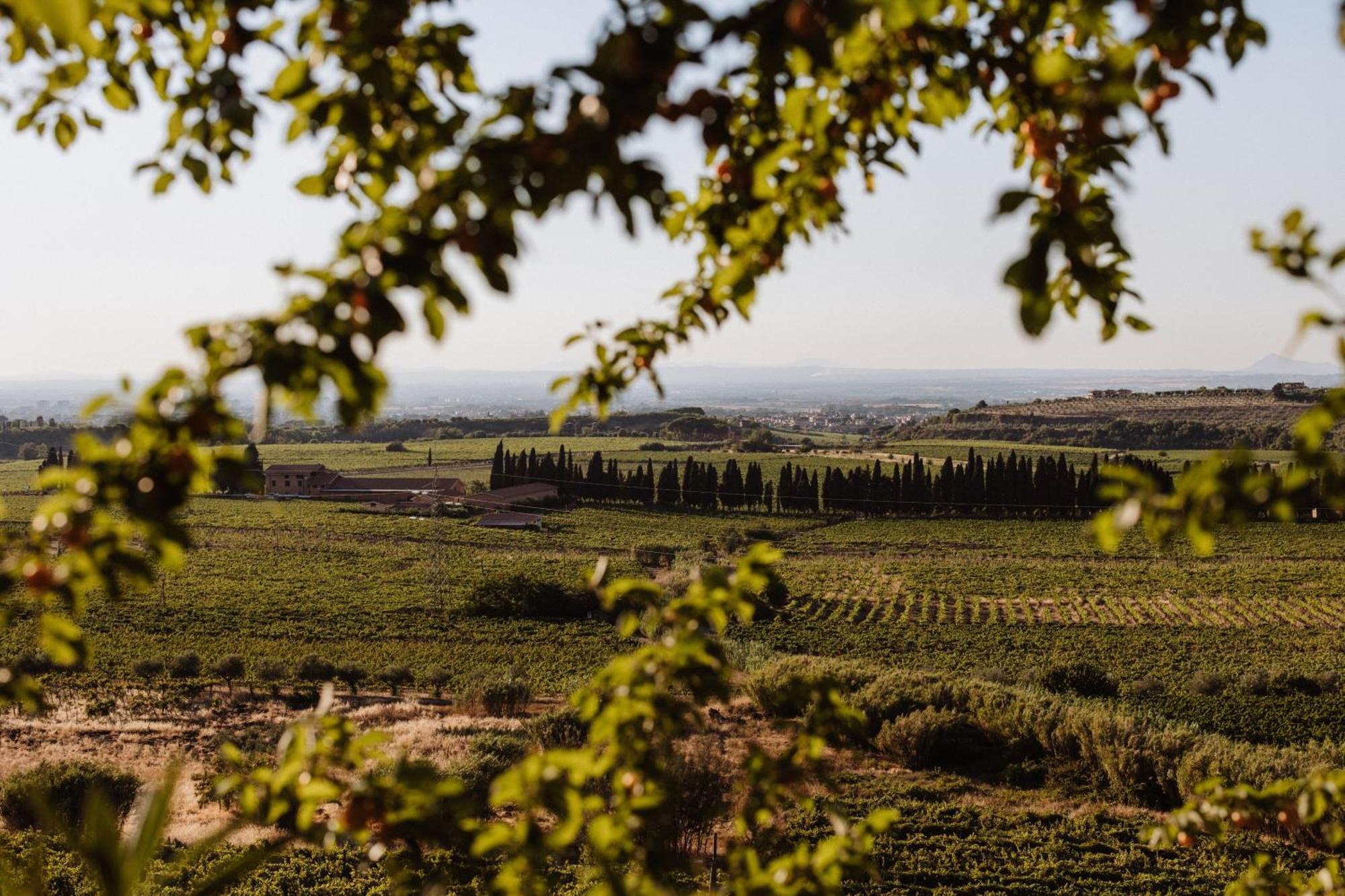 Merumalia Wine Resort Frascati Zewnętrze zdjęcie